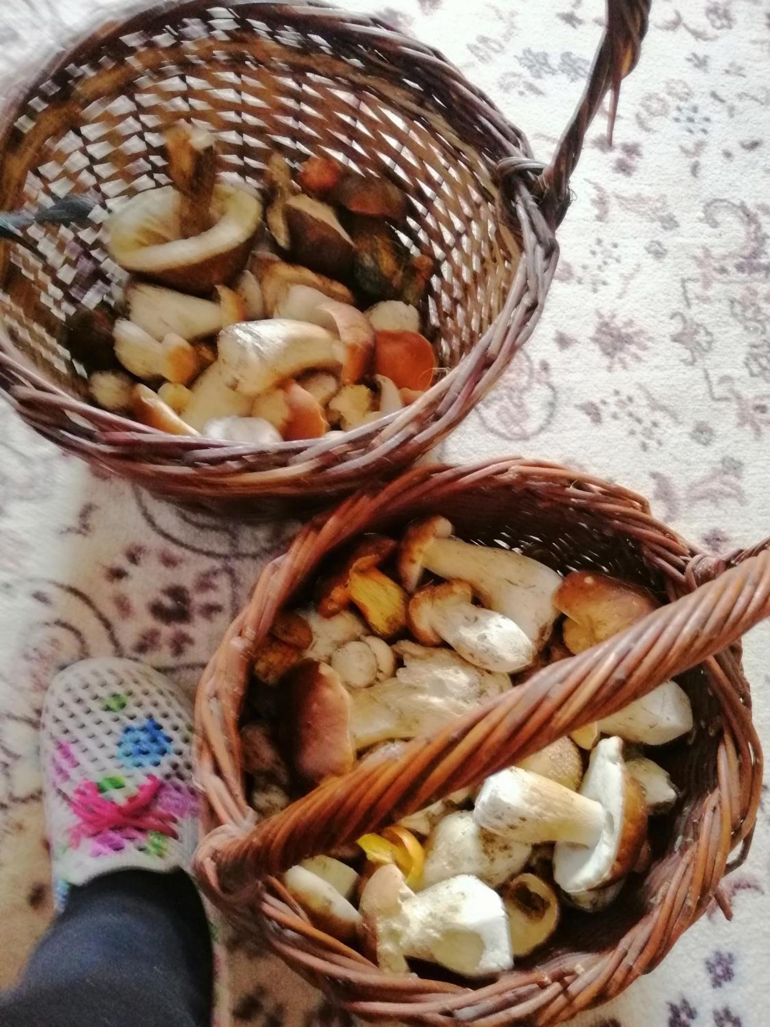 Penzion Jura Chřibská Екстериор снимка