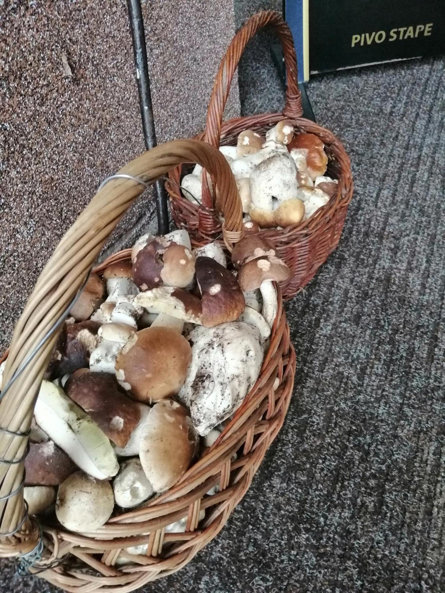 Penzion Jura Chřibská Екстериор снимка