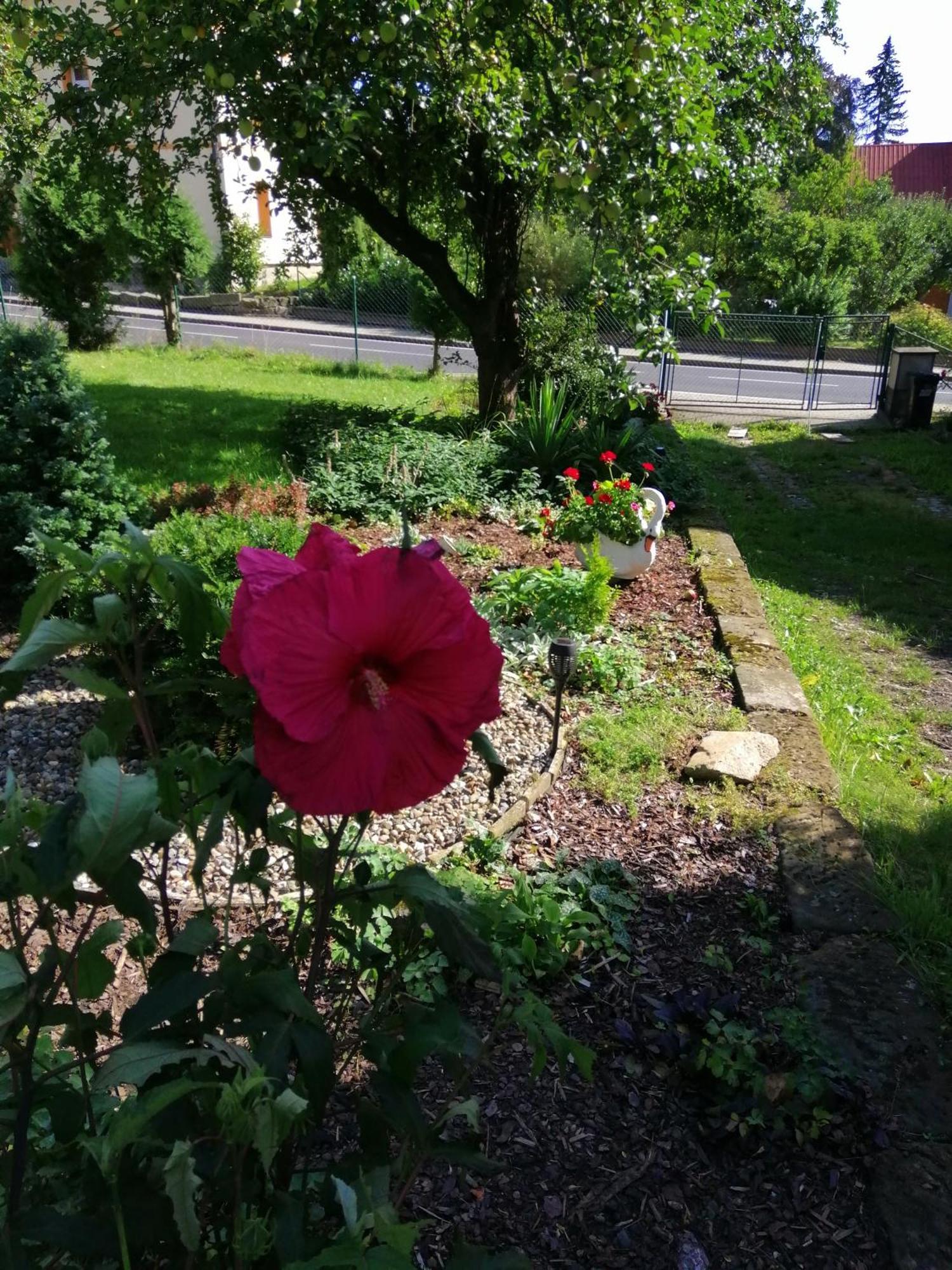 Penzion Jura Chřibská Екстериор снимка
