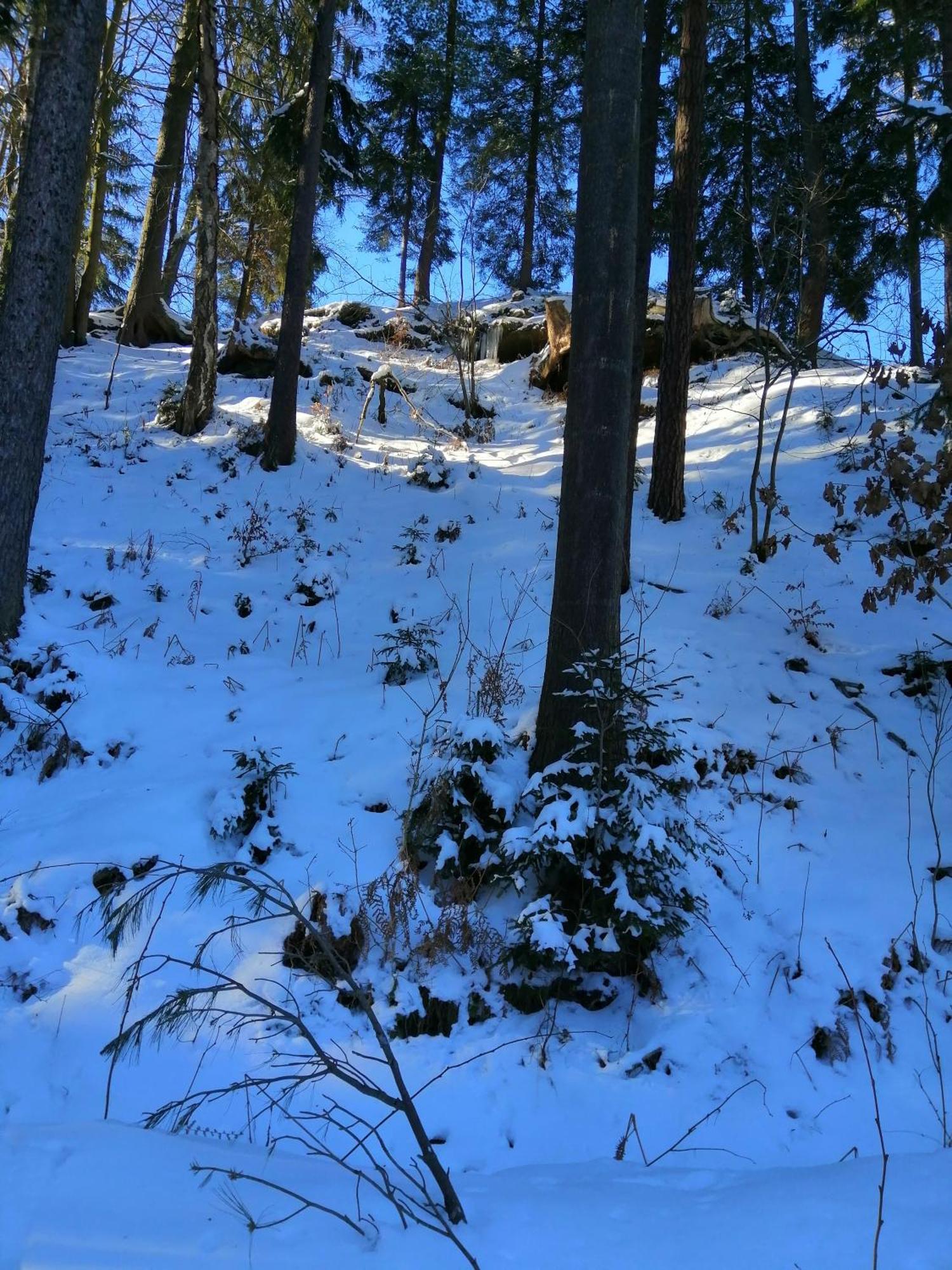 Penzion Jura Chřibská Екстериор снимка